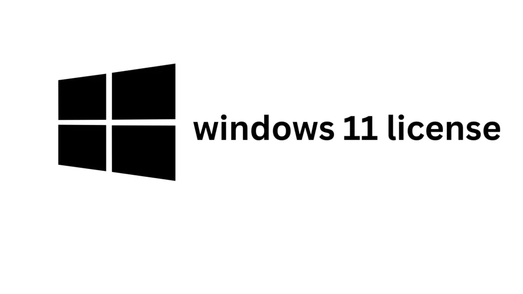 Windows 11 License