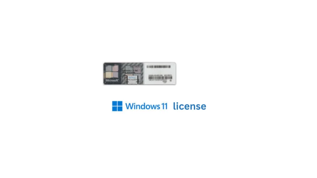 Windows 11 License