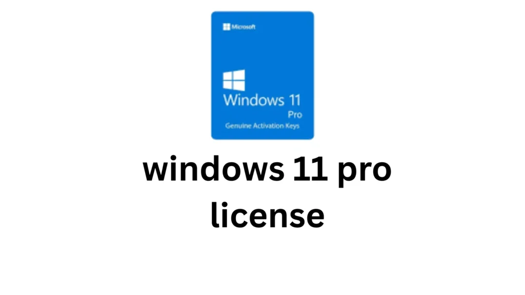 Windows 11 Pro License